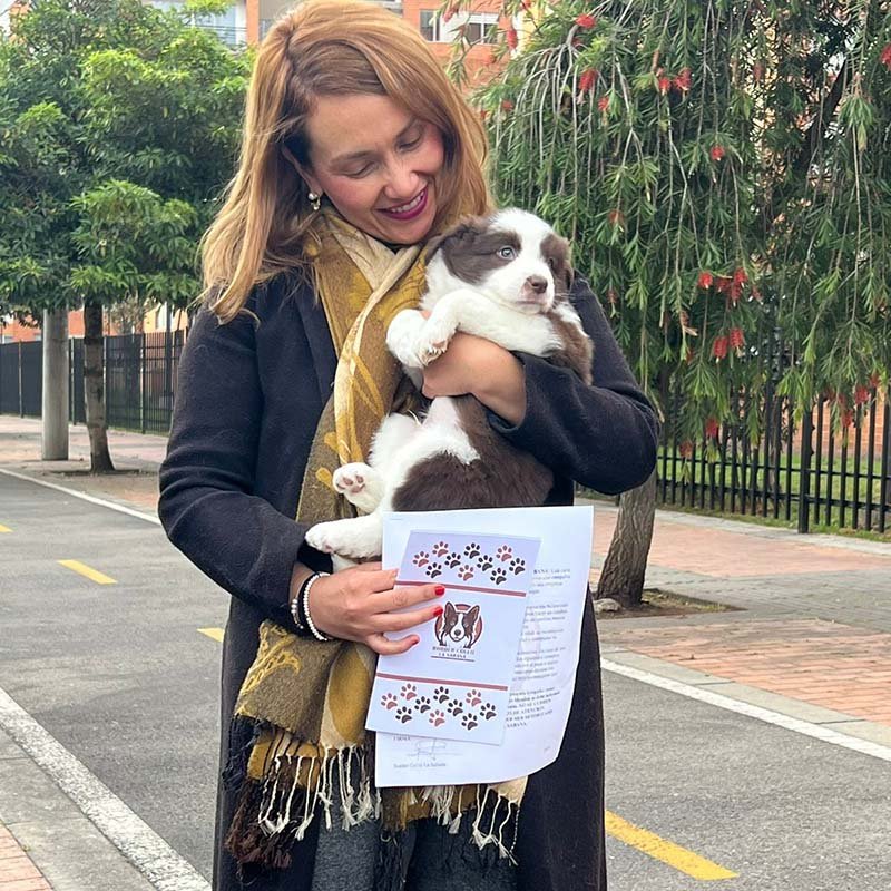 Cliente Feliz con su Border Collie